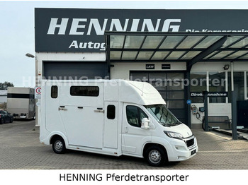 Peugeot Boxer 3 - Sitzer *ETAGENBETT* *AUFBAU NEU*  - Коневоз