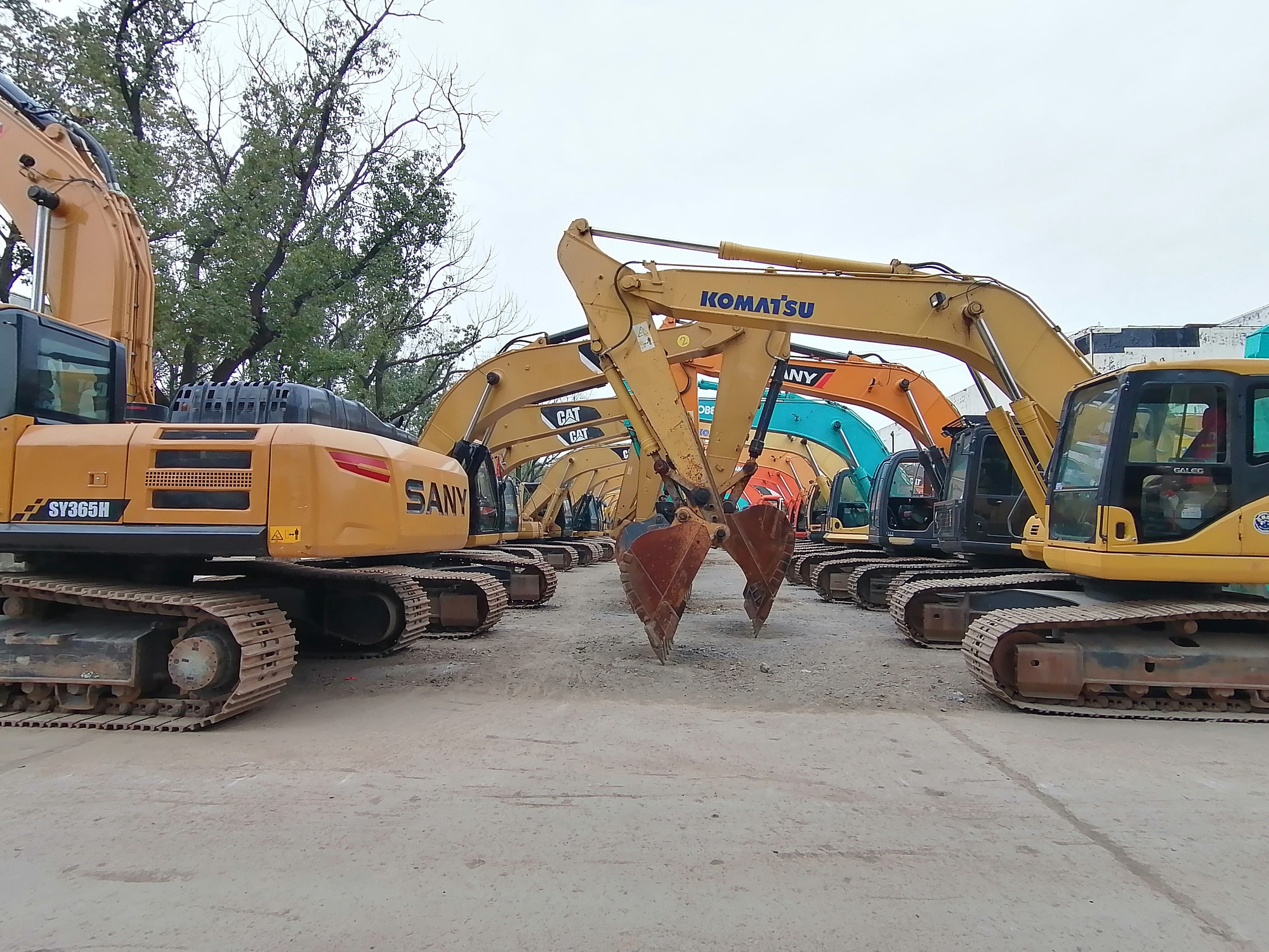 Qingdao Higher Weight Trade Co. LTD undefined: фото 6