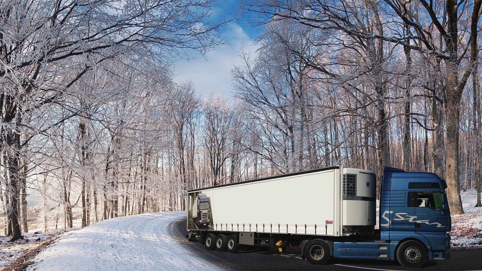 BRF REFRIGERATED TRAILER - объявления о продаже undefined: фото 3