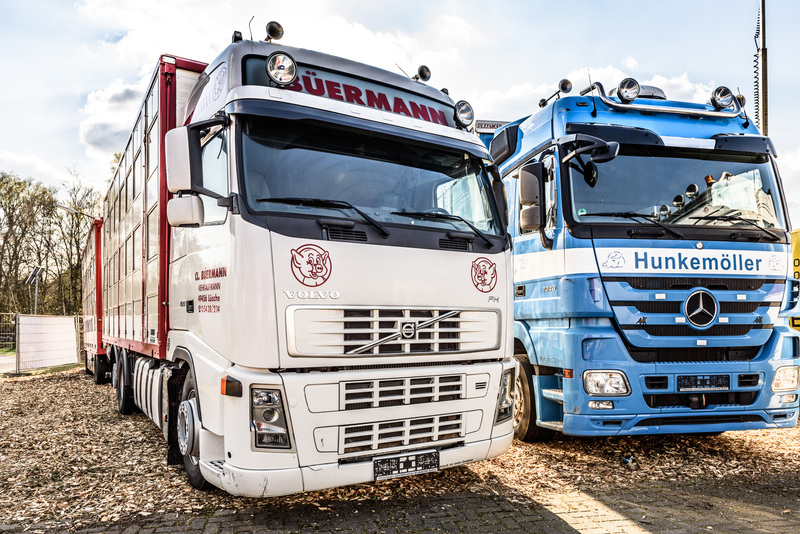 WS Trucks GmbH - Полуприцепы undefined: фото 2