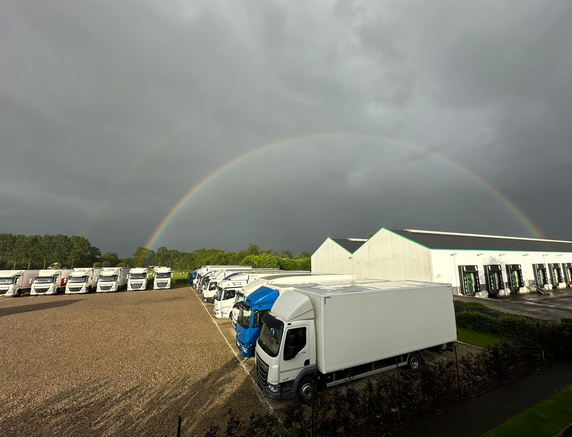 HANDELSONDERNEMING MARTIN VOS V.O.F. - объявления о продаже undefined: фото 2