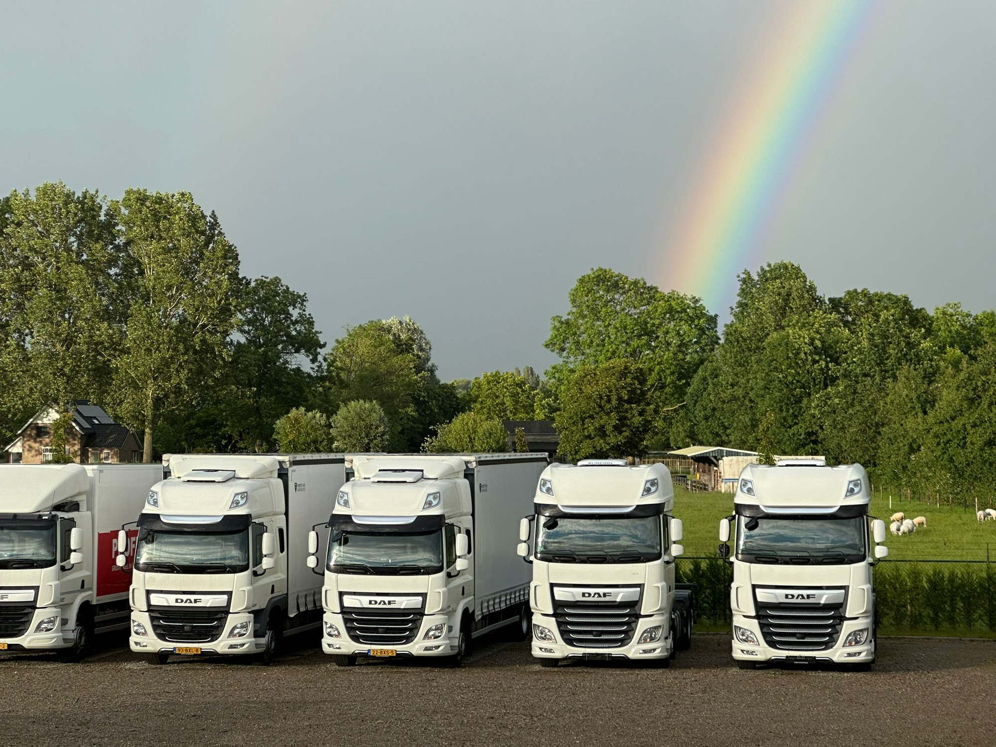 HANDELSONDERNEMING MARTIN VOS V.O.F. - объявления о продаже undefined: фото 1