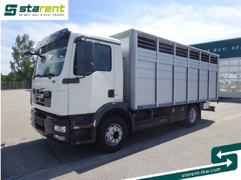 Коневоз MAN TGM 15.290