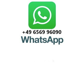 Крюковой мультилифт Iveco Trakker 330 EEV Winterdienst Abroll: фото 2