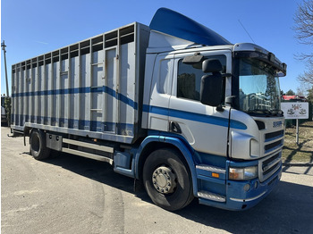 Грузовик для перевозки животных SCANIA P 310