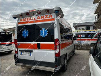 FIAT FIAT 290 DUCATO в лизинг FIAT FIAT 290 DUCATO: фото 2