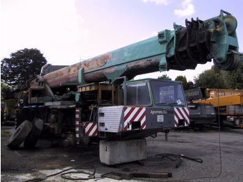 Вседорожный кран TEREX