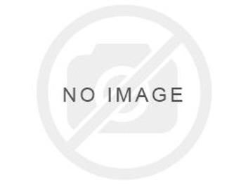 Поворотный кулак ZF