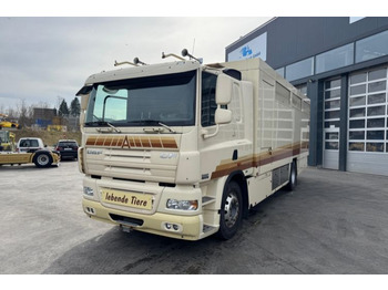 Коневоз DAF CF 410