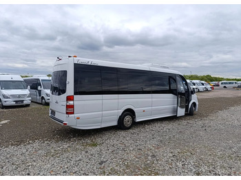 Микроавтобус, Пассажирский фургон Mercedes-Benz Sprinter 519: фото 4