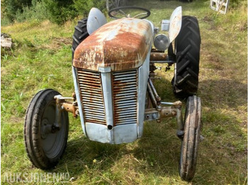 1950 Massey Ferguson Gråtass в лизинг 1950 Massey Ferguson Gråtass: фото 2