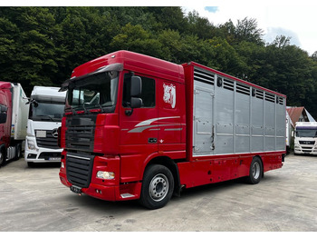 Грузовик для перевозки животных DAF XF 105 460