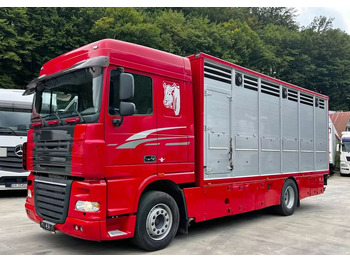 Грузовик для перевозки животных DAF XF 105 460