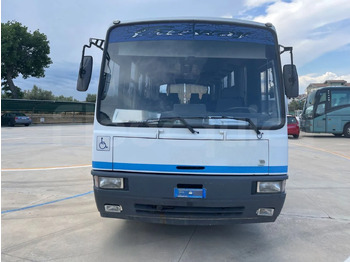Туристический автобус Iveco Cacciamali: фото 2