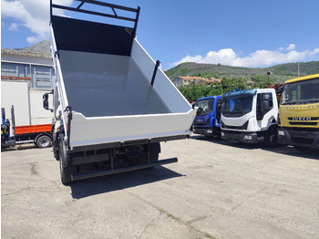 Автоманипулятор, Самосвал IVECO STRALIS CUBE 190S33: фото 5