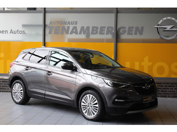 Внедорожник OPEL