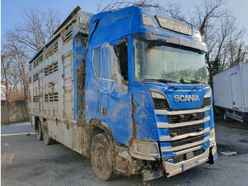 Грузовик для перевозки животных SCANIA R 580
