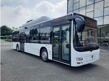 Городской автобус MAN Lion's City A21