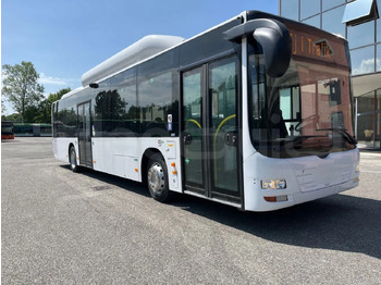 Городской автобус MAN Lion's City A21
