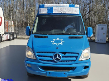 Микроавтобус, Пассажирский фургон MERCEDES-BENZ Sprinter 316 VIP Euro5: фото 2
