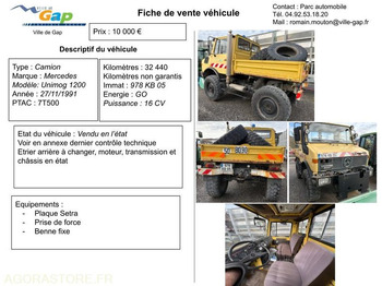 Грузовик бортовой/ Платформа UNIMOG