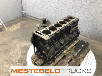Двигатель и запчасти для Грузовиков Iveco Motorblok D2066: фото 2
