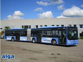 Сочленённый автобус MAN Lion's City A23