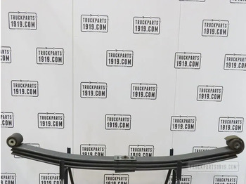 Рессорная подвеска DAF