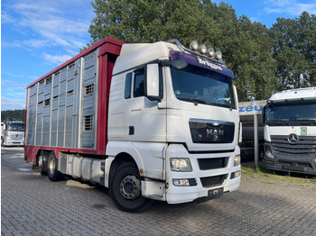 Грузовик для перевозки животных MAN TGX 26.400 6x2-2 LL 3 Stück Finkl Hubdach: фото 5