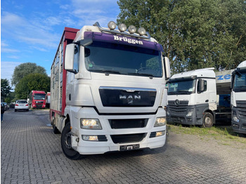 Грузовик для перевозки животных MAN TGX 26.400 6x2-2 LL 3 Stück Finkl Hubdach: фото 4