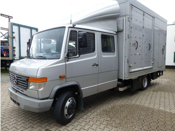 Коневоз MERCEDES-BENZ Vario
