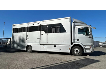 Коневоз MAN TGM 15.250