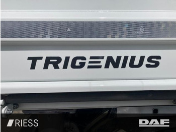 Новый Самосвал DAF XD 450 FAD 8x4 Meiller Trigenius Bordmatik DAF XD 450 FAD 8x4 Meiller DSK Trigenius Meiller Tri: фото 5