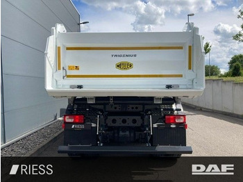 Новый Самосвал DAF XD 450 FAD 8x4 Meiller Trigenius Bordmatik DAF XD 450 FAD 8x4 Meiller DSK Trigenius Meiller Tri: фото 4