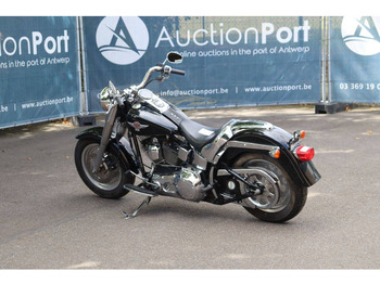 Мотоцикл Harley-Davidson Fat Boy: фото 3 Мотоцикл Harley-Davidson Fat Boy: фото 3