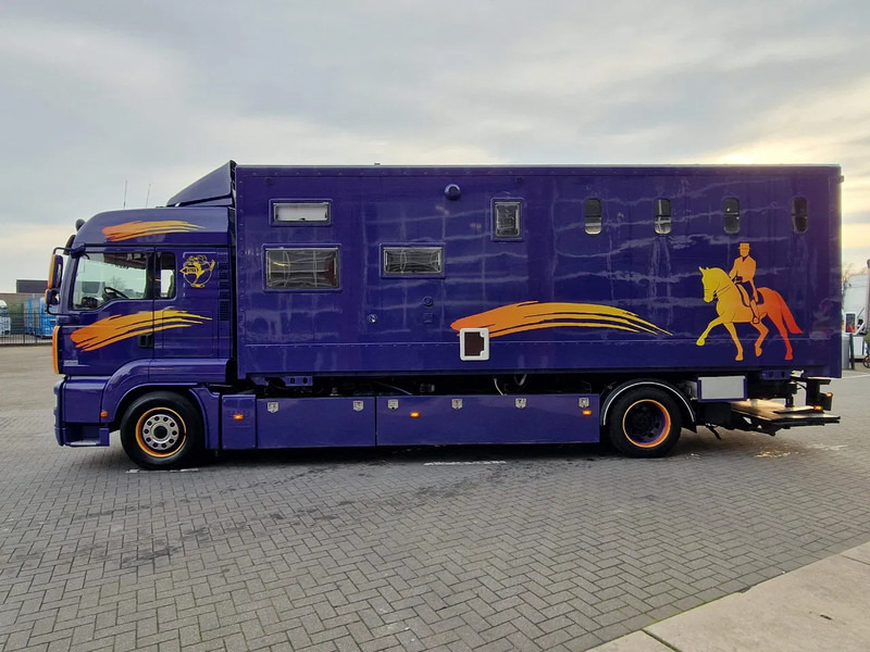 MAN TGA 18.360 4x2 - Horse truck + full camper - 4 seats - Loadramp - Automatic gearbox - Коневоз: фото 5 MAN TGA 18.360 4x2 - Horse truck + full camper - 4 seats - Loadramp - Automatic gearbox - Коневоз: фото 5