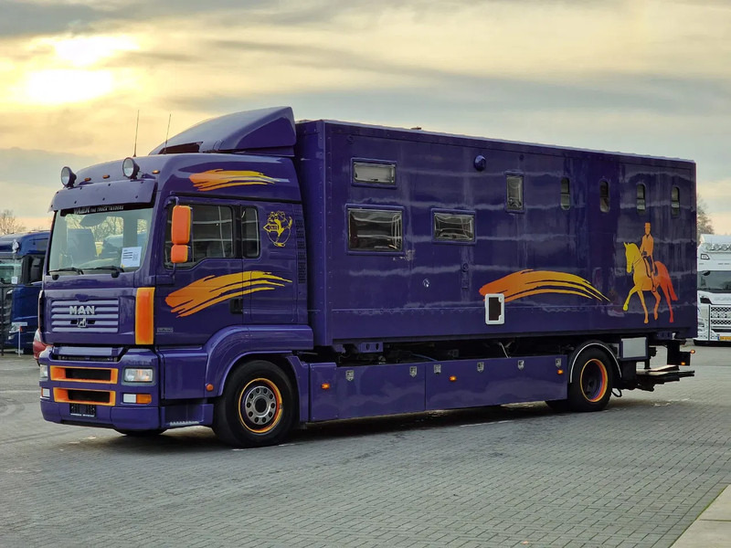 MAN TGA 18.360 4x2 - Horse truck + full camper - 4 seats - Loadramp - Automatic gearbox - Коневоз: фото 4 MAN TGA 18.360 4x2 - Horse truck + full camper - 4 seats - Loadramp - Automatic gearbox - Коневоз: фото 4