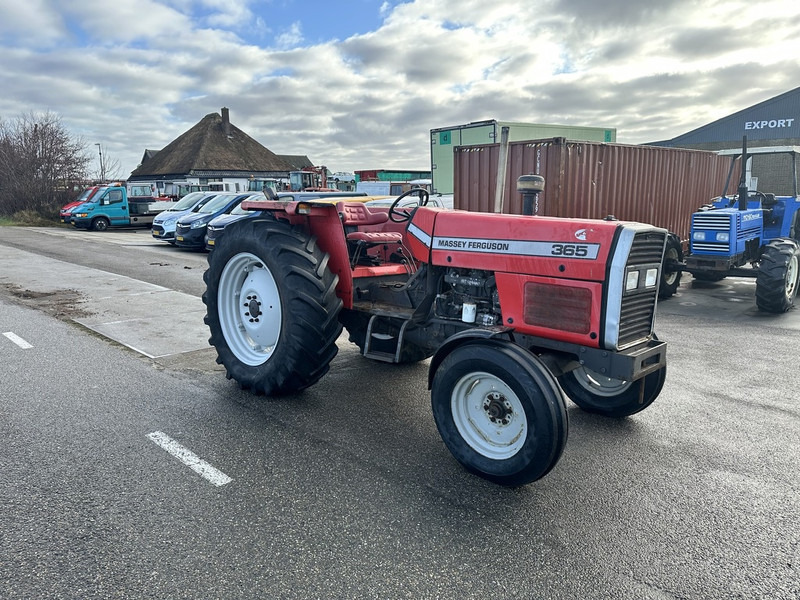 Massey Ferguson 365 - Трактор: фото 3 Massey Ferguson 365 - Трактор: фото 3