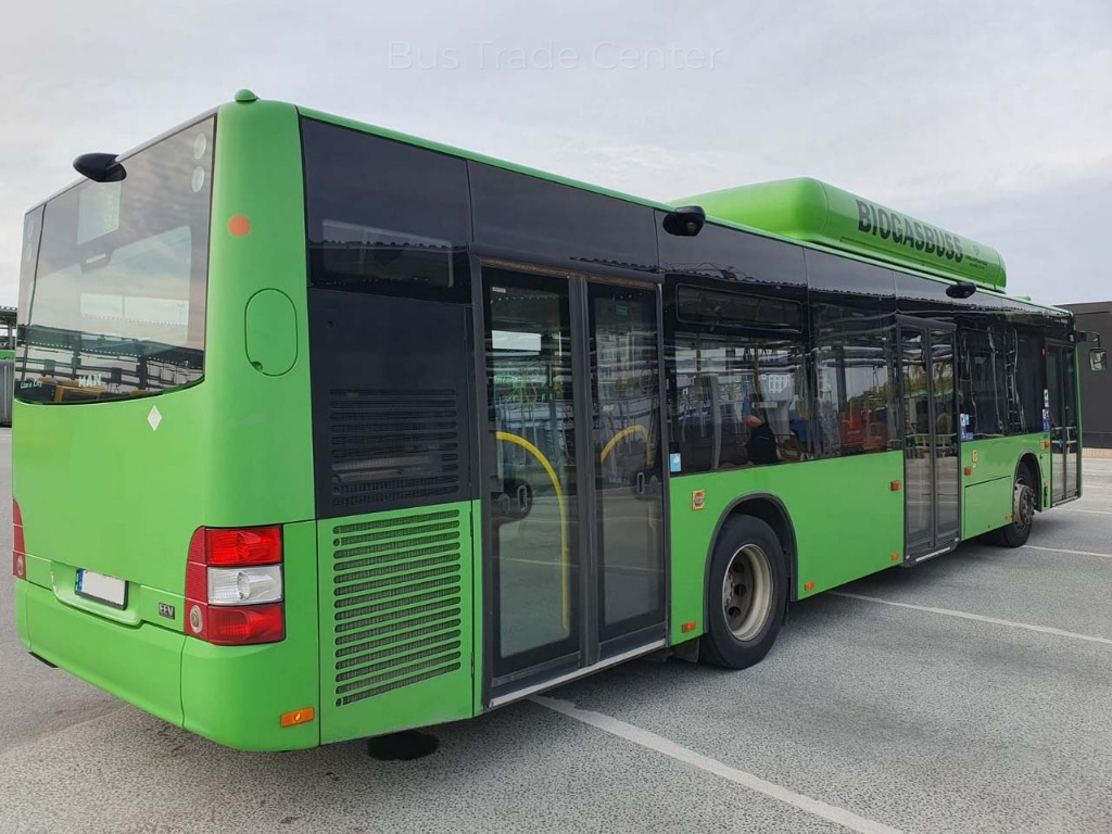 MAN Lion´s City A21 CNG - Городской автобус: фото 2 MAN Lion´s City A21 CNG - Городской автобус: фото 2