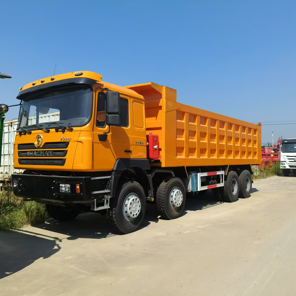 SHACMAN F3000 8*4 Dump truck - Самосвал: фото 1 SHACMAN F3000 8*4 Dump truck - Самосвал: фото 1