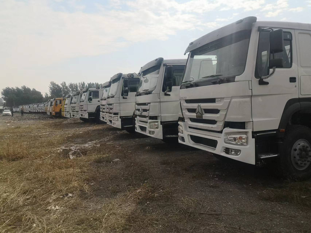 SINOTRUK HOWO WITH FENCE LIVESTOCK DUMP TRUCK - Самосвал: фото 1 SINOTRUK HOWO WITH FENCE LIVESTOCK DUMP TRUCK - Самосвал: фото 1