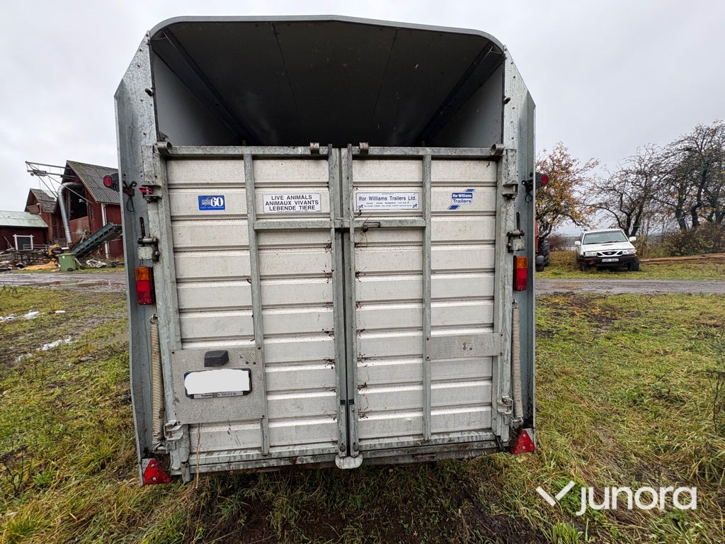 Boskapssläp - Ifor Williams - Прицеп для перевозки животных: фото 5 Boskapssläp - Ifor Williams - Прицеп для перевозки животных: фото 5