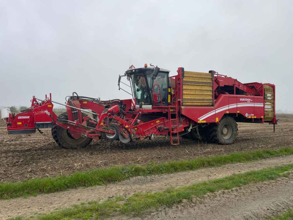 Grimme VARITRON 270 RS VARIO MULTISEP - Комбайн: фото 1 Grimme VARITRON 270 RS VARIO MULTISEP - Комбайн: фото 1