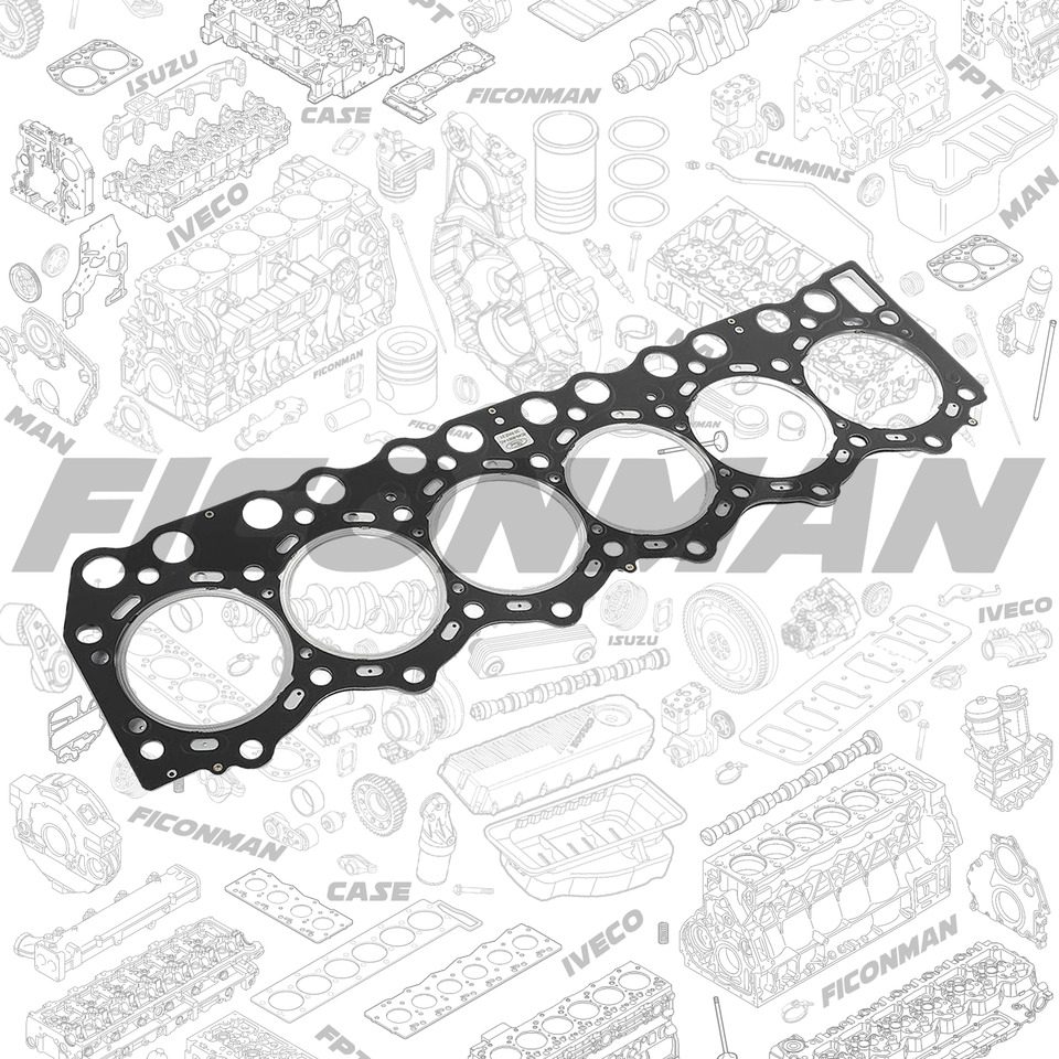 Ford Ford Trucks F-MAX ECOTORQ 9L Cylinder head gasket 6C466051AC 6C466051AB - Прокладка двигателя для Грузовиков: фото 1 Ford Ford Trucks F-MAX ECOTORQ 9L Cylinder head gasket 6C466051AC 6C466051AB - Прокладка двигателя для Грузовиков: фото 1