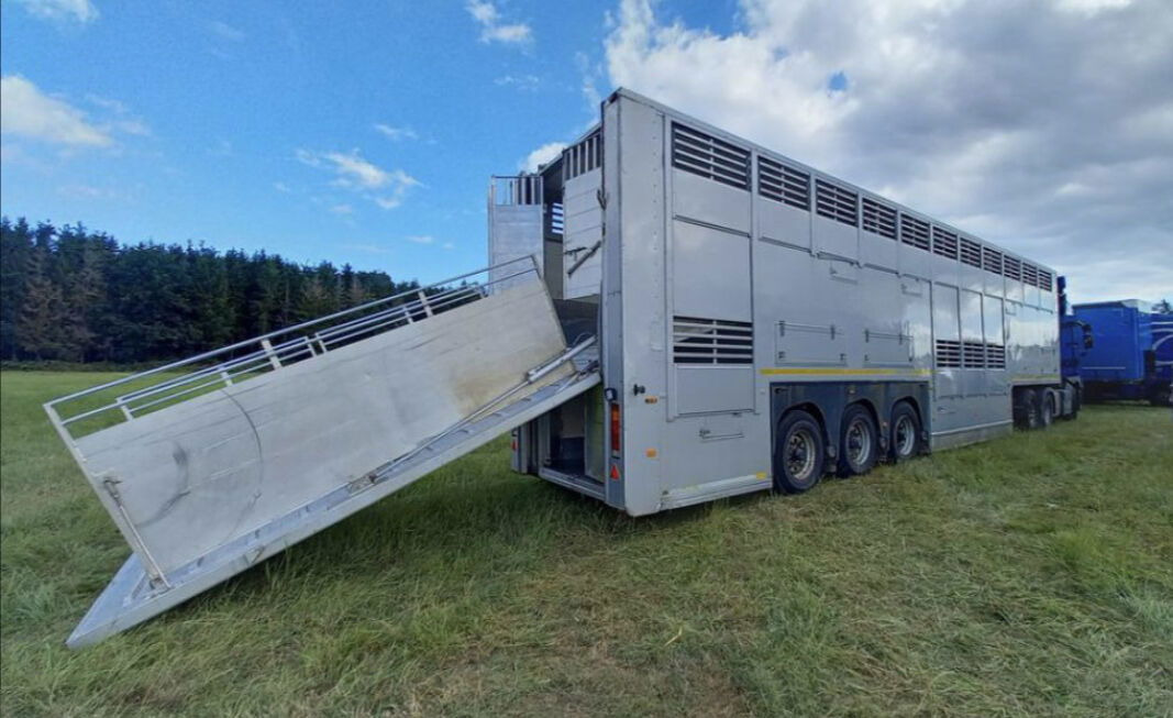 Gray and Adams Gadd3 / Works Great / Hydraulic / 2 Levels - Полуприцеп для перевозки животных: фото 2 Gray and Adams Gadd3 / Works Great / Hydraulic / 2 Levels - Полуприцеп для перевозки животных: фото 2