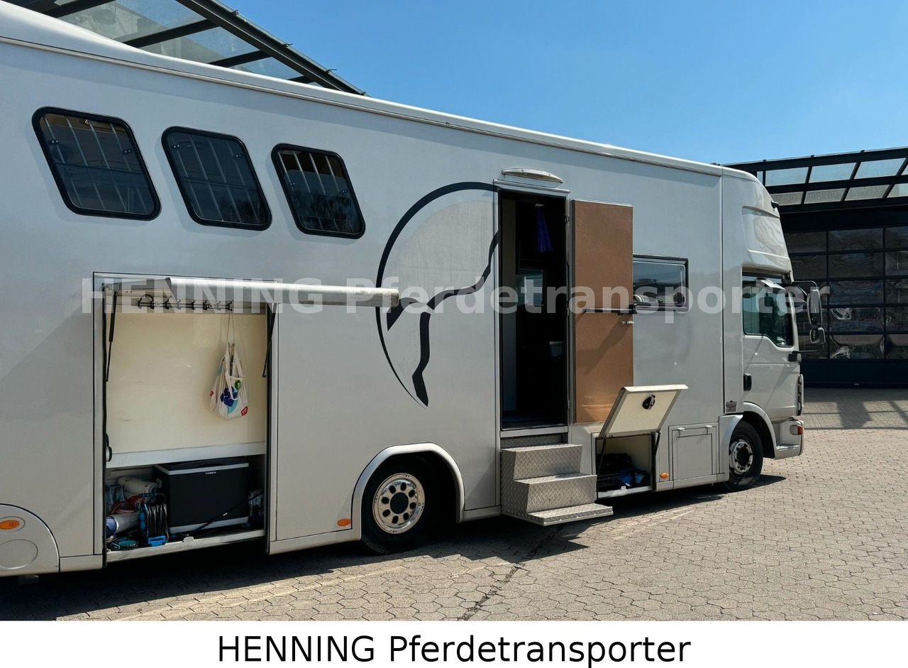 Грузовик для перевозки животных MAN TGL PFERDETRANSPORTER RJH: фото 9