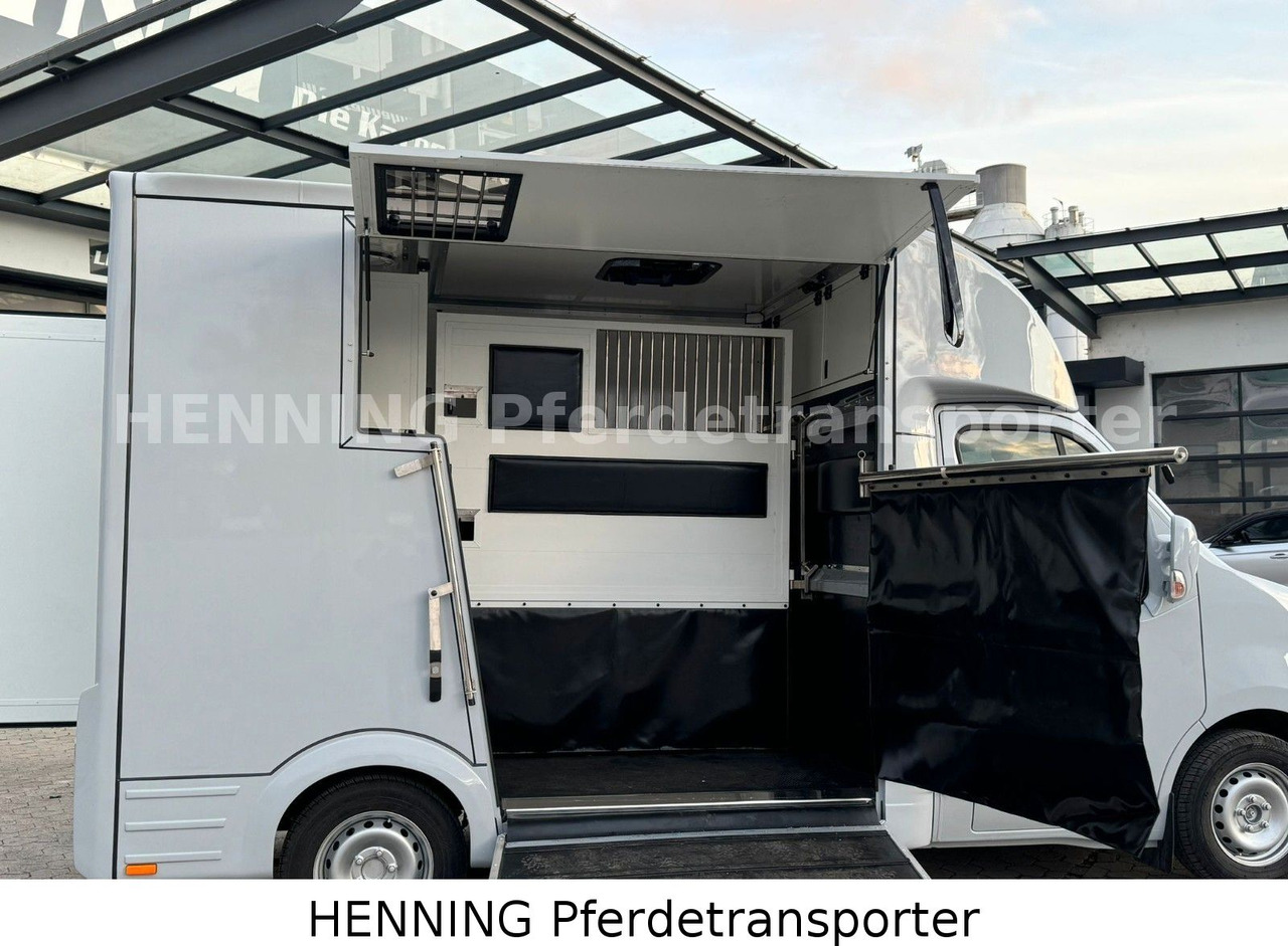 Nissan Interstar - Грузовик для перевозки животных: фото 5 Nissan Interstar - Грузовик для перевозки животных: фото 5