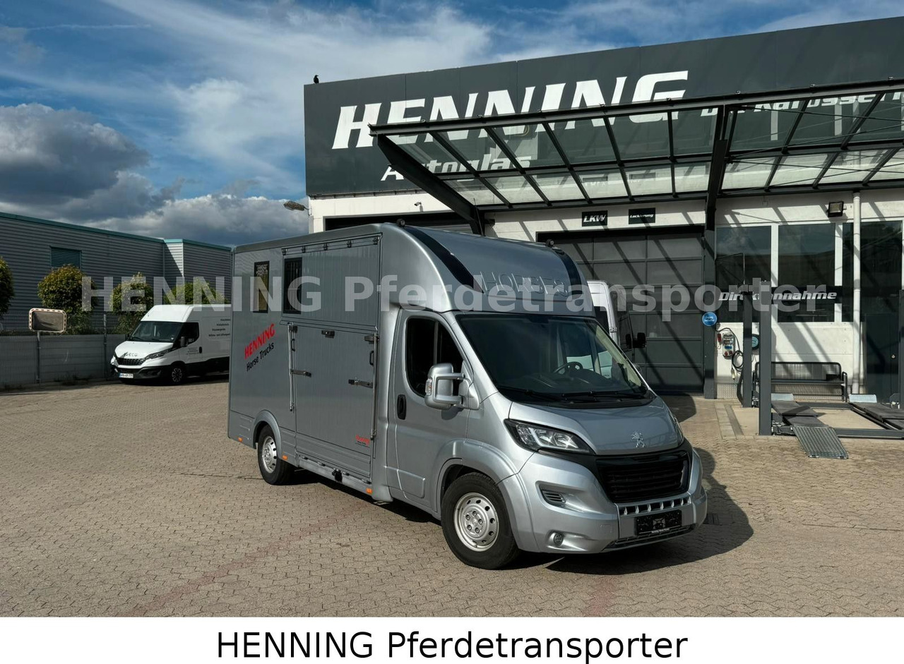 Peugeot Boxer 3 - Sitzer - Грузовик для перевозки животных: фото 1 Peugeot Boxer 3 - Sitzer - Грузовик для перевозки животных: фото 1