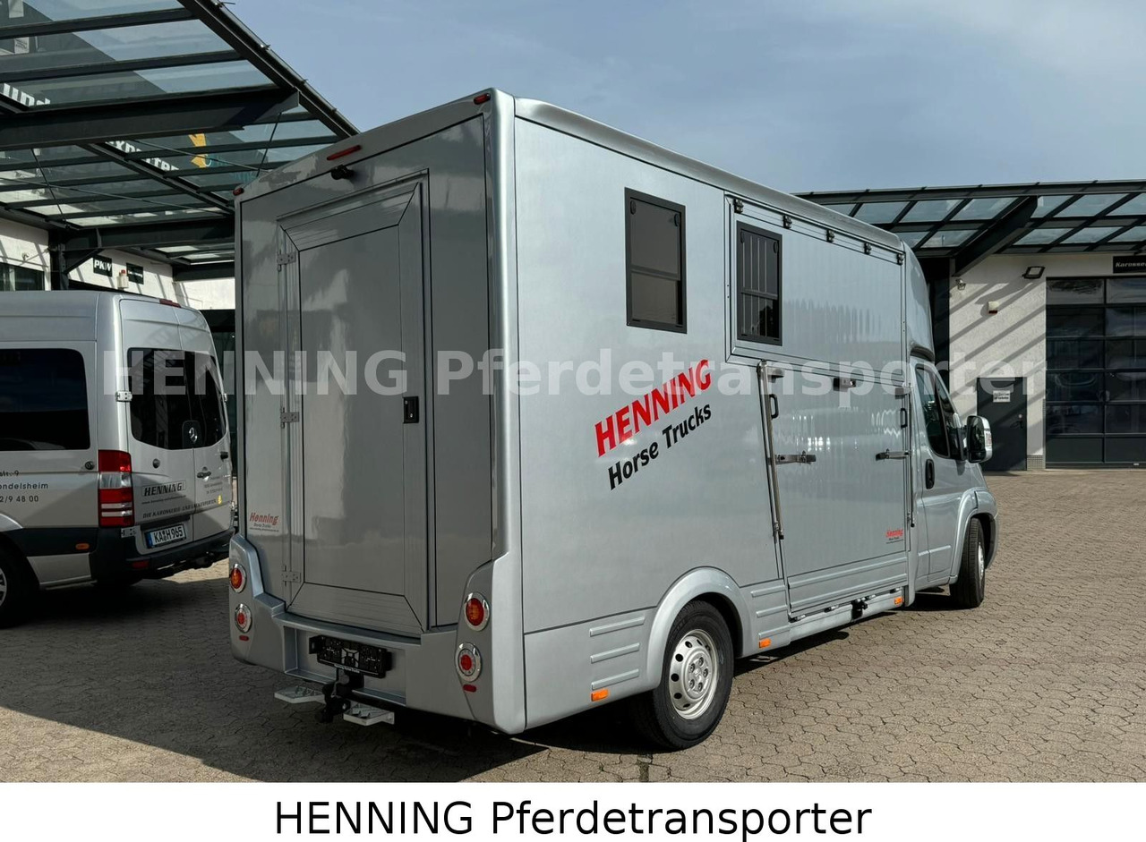 Peugeot Boxer 3 - Sitzer - Грузовик для перевозки животных: фото 2 Peugeot Boxer 3 - Sitzer - Грузовик для перевозки животных: фото 2
