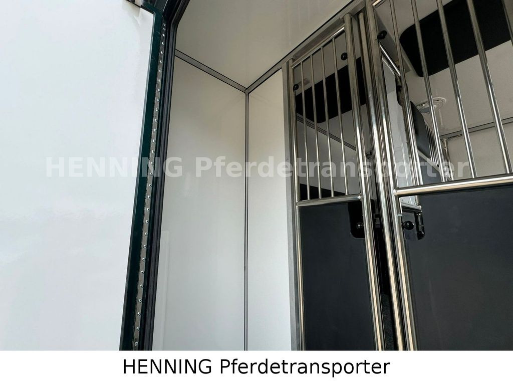 Коневоз Renault Master 5 -  Sitzer Automatik Renault Master 6 -  Sitzer Automatik: фото 10